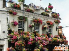 明星祛斑方法_解密容祖儿祛斑秘史