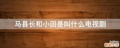 马县长和小田是叫什么电视剧