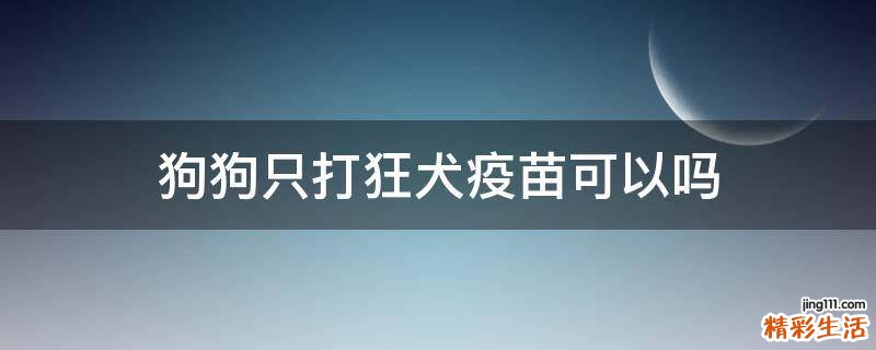 狗狗只打狂犬疫苗可以吗