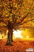 混浊尿是怎么回事？