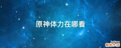 原神体力在哪看
