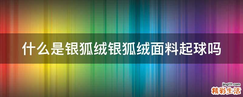什么是银狐绒银狐绒面料起球吗