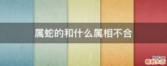 属蛇的和什么属相不合