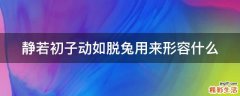 静若初子动如脱兔用来形容什么
