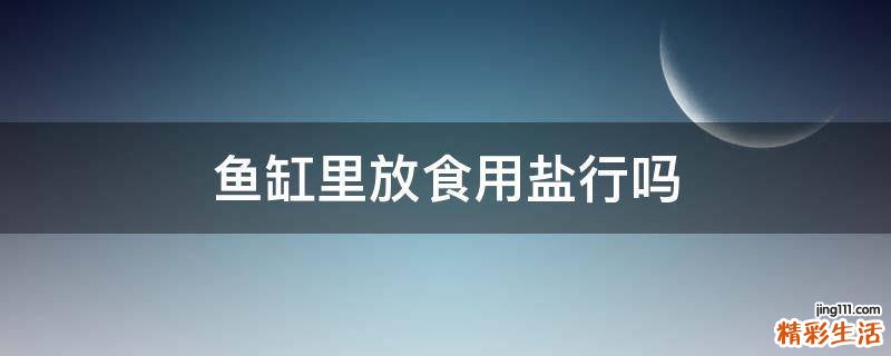 鱼缸里放食用盐行吗