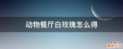 动物餐厅白玫瑰怎么得