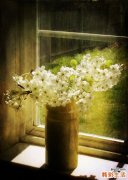 性欲亢进的危害都有哪些