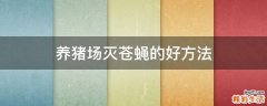 养猪场灭苍蝇的好方法