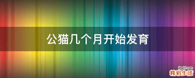 公猫几个月开始发育