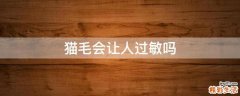 猫毛会让人过敏吗