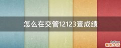 怎么在交管12123查成绩