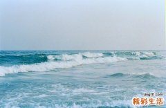 2 急性肠胃炎