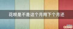 花呗是不是这个月用下个月还