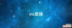 ins是啥