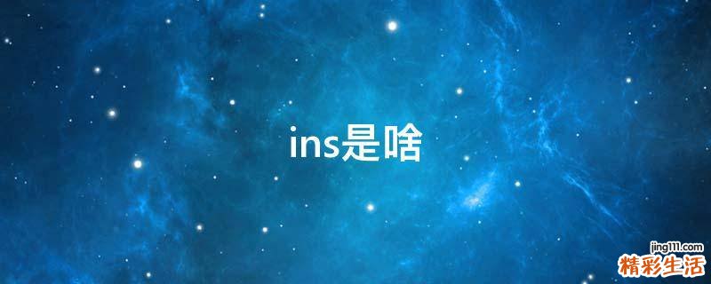 ins是啥