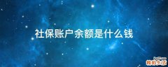 社保账户余额是什么钱