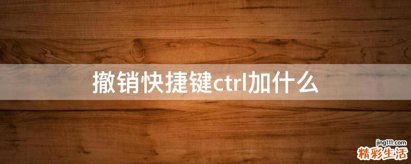 撤销快捷键ctrl加什么