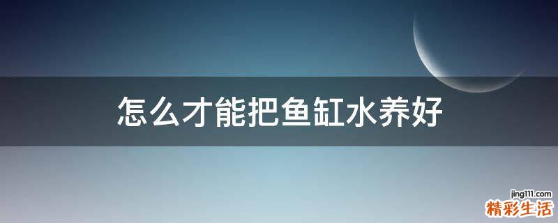 怎么才能把鱼缸水养好