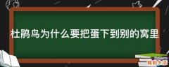 杜鹃鸟为什么要把蛋下到别的窝里