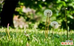 掉发拯救法_如何减少脱发