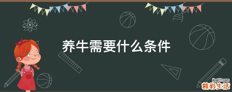 养牛需要什么条件