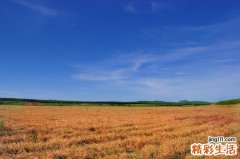 3 女人抗衰老的5条黄金定律