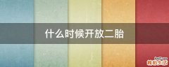 什么时候开放二胎