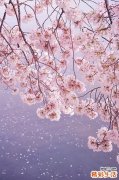 洗发误区_如何正确洗发