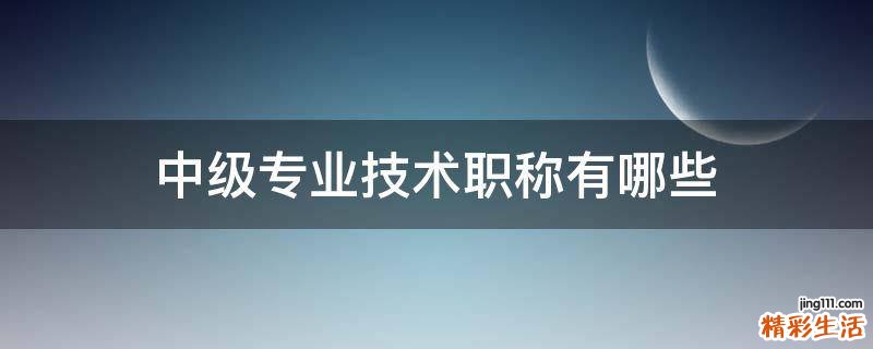 中级专业技术职称有哪些