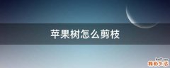 苹果树怎么剪枝