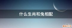 什么生肖和兔相配