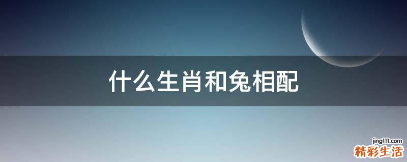 什么生肖和兔相配