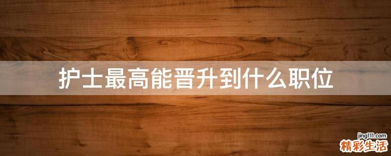 护士最高能晋升到什么职位