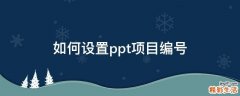 如何设置ppt项目编号