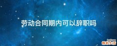 劳动合同期内可以辞职吗