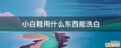 小白鞋用什么东西能洗白