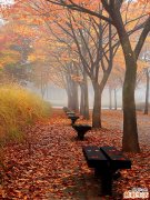 糖尿病并发症怎么治