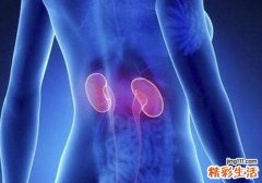 肾脏不好会高血压吗