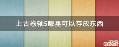 上古卷轴5哪里可以存放东西