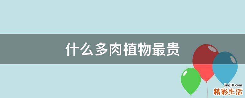 什么多肉植物最贵