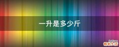 一升是多少斤