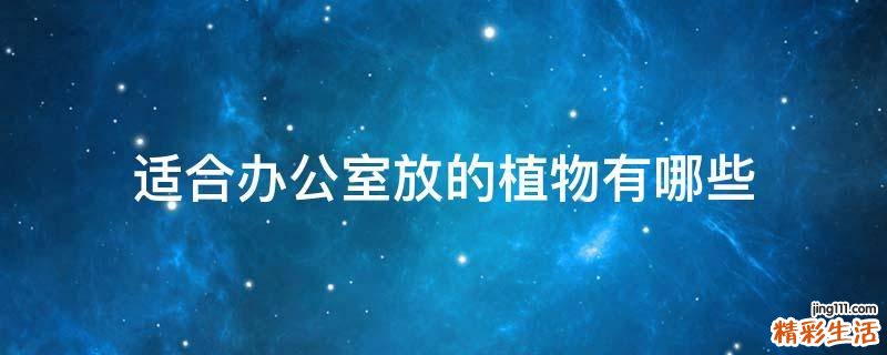 适合办公室放的植物有哪些