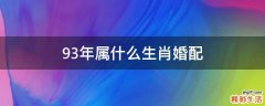 93年属什么生肖婚配