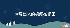 pr导出来的视频在哪里