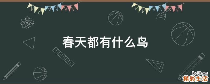 春天都有什么鸟