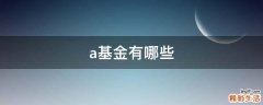 a基金有哪些