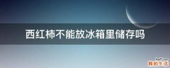 西红柿不能放冰箱里储存吗