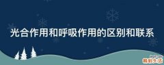 光合作用和呼吸作用的区别和联系