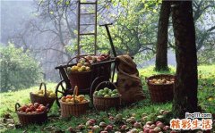 怎样预防原发性腹膜后肿瘤，原发性腹膜后肿瘤的护理