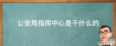 公安局指挥中心是干什么的